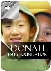 ESU #3 Foundation