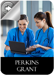 Perkins Grant